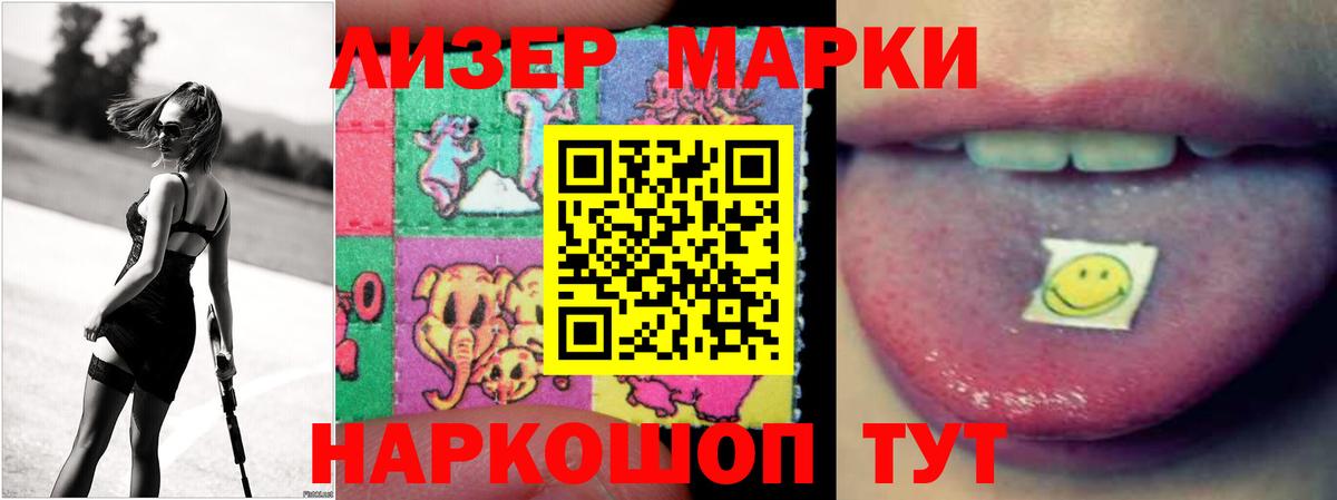 Галлюциногенные грибы Тихвин